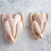 Heritage Broiler Hens