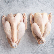 Heritage Broiler Hens