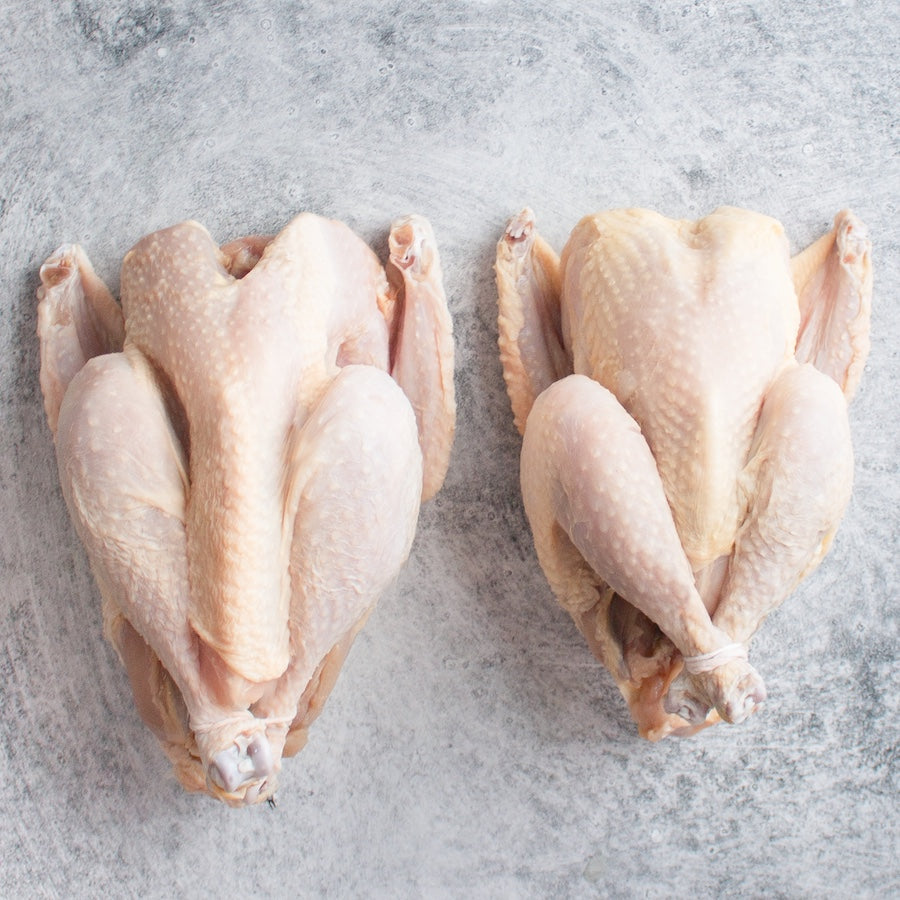 Heritage Broiler Hens