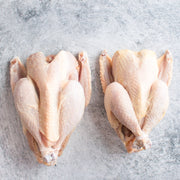 Heritage Broiler Hens