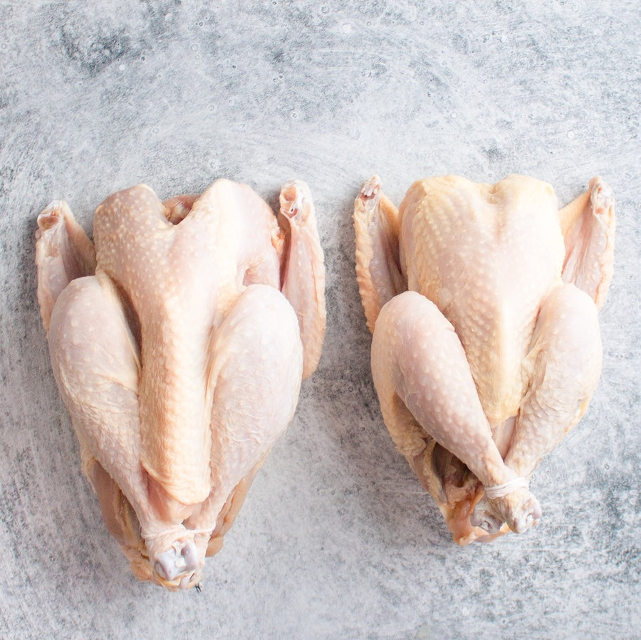 Heritage Broiler Hens