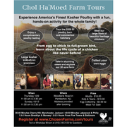 Chol Ha'Moed Sukkos Tours