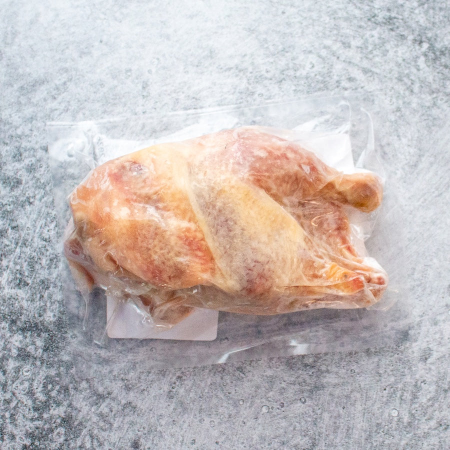 Young Cornish Style Broiler