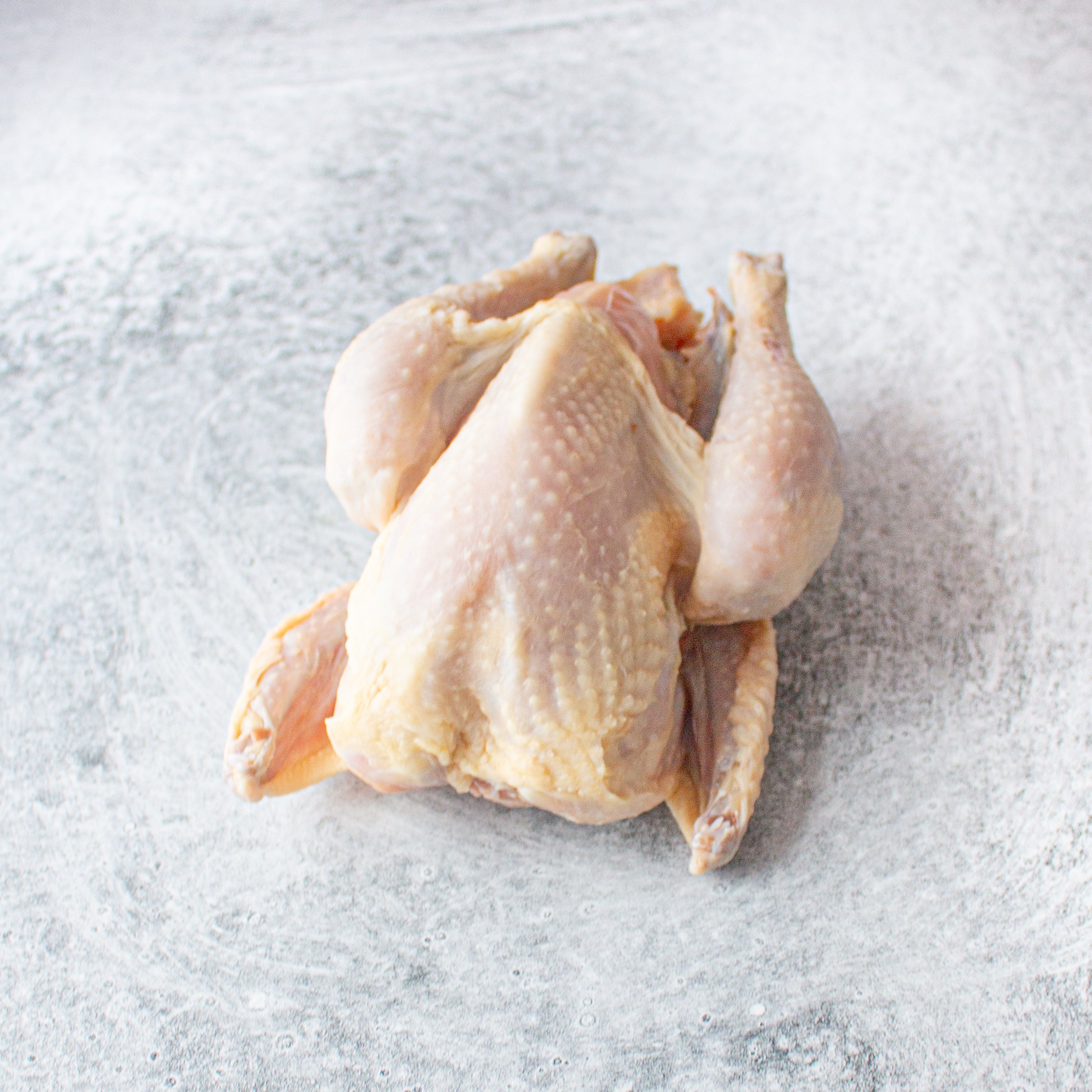 Young Cornish Style Broiler