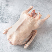Whole Heritage Embden Goose