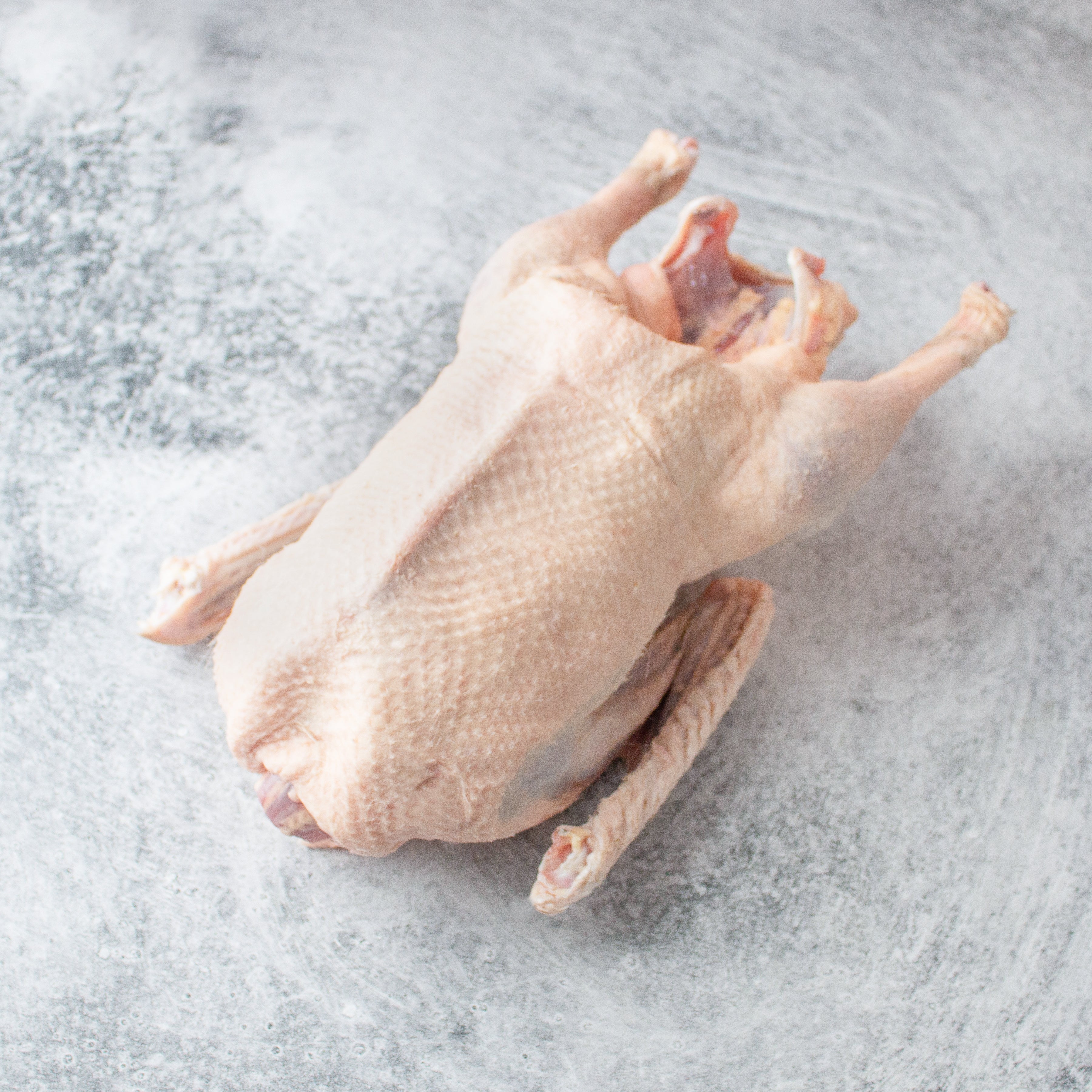 Whole Heritage Embden Goose - Preorder