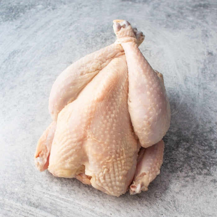 Fryer Chicken Breed Sampler