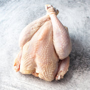 Fryer Chicken Breed Sampler