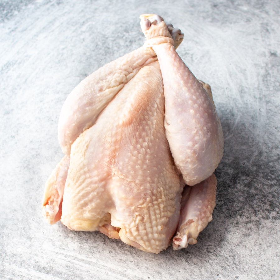 Fryer Chicken Breed Sampler