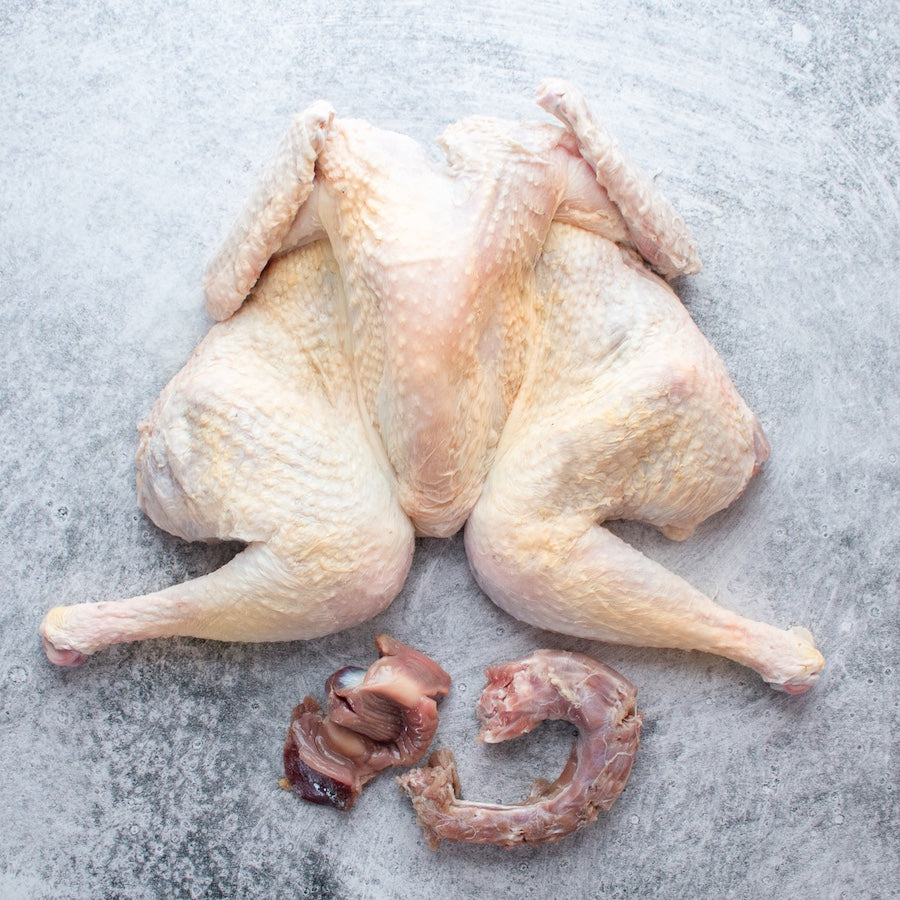 Whole Spatchcocked Barred Rock