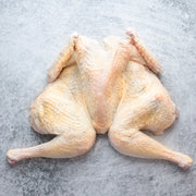 Whole Spatchcocked Barred Rock