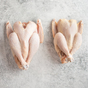 Heritage Broiler Hens