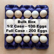 Chosen Turkey Eggs - Bulk Box (local delivery only)