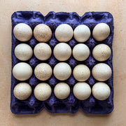 Chosen Turkey Eggs - 20 Flat (local delivery only)