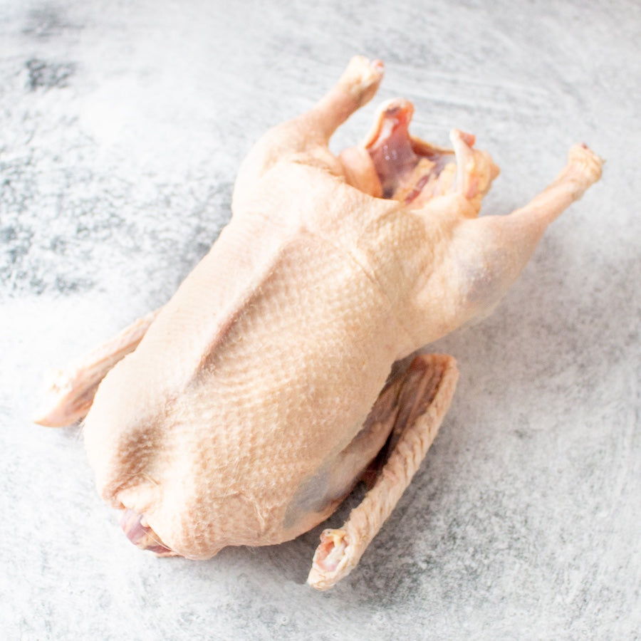 Whole Heritage Embden Goose